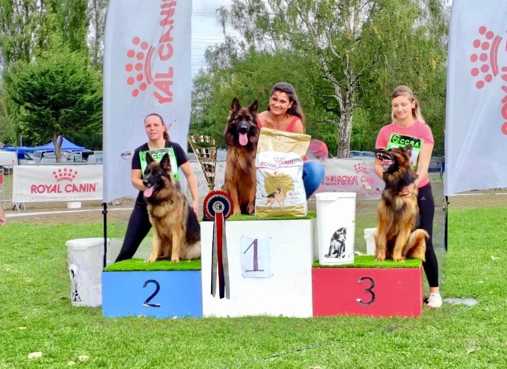 CH. Ulyana Du Domaine De Brenda