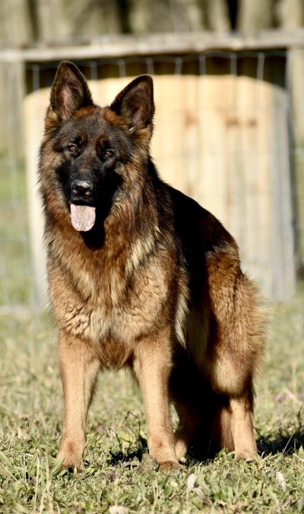 Ushuaia Du Domaine De Brenda