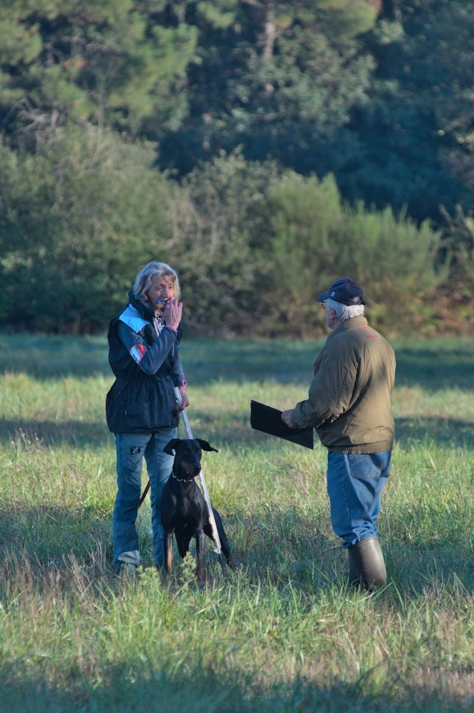 jotunheim's Badwe-henna