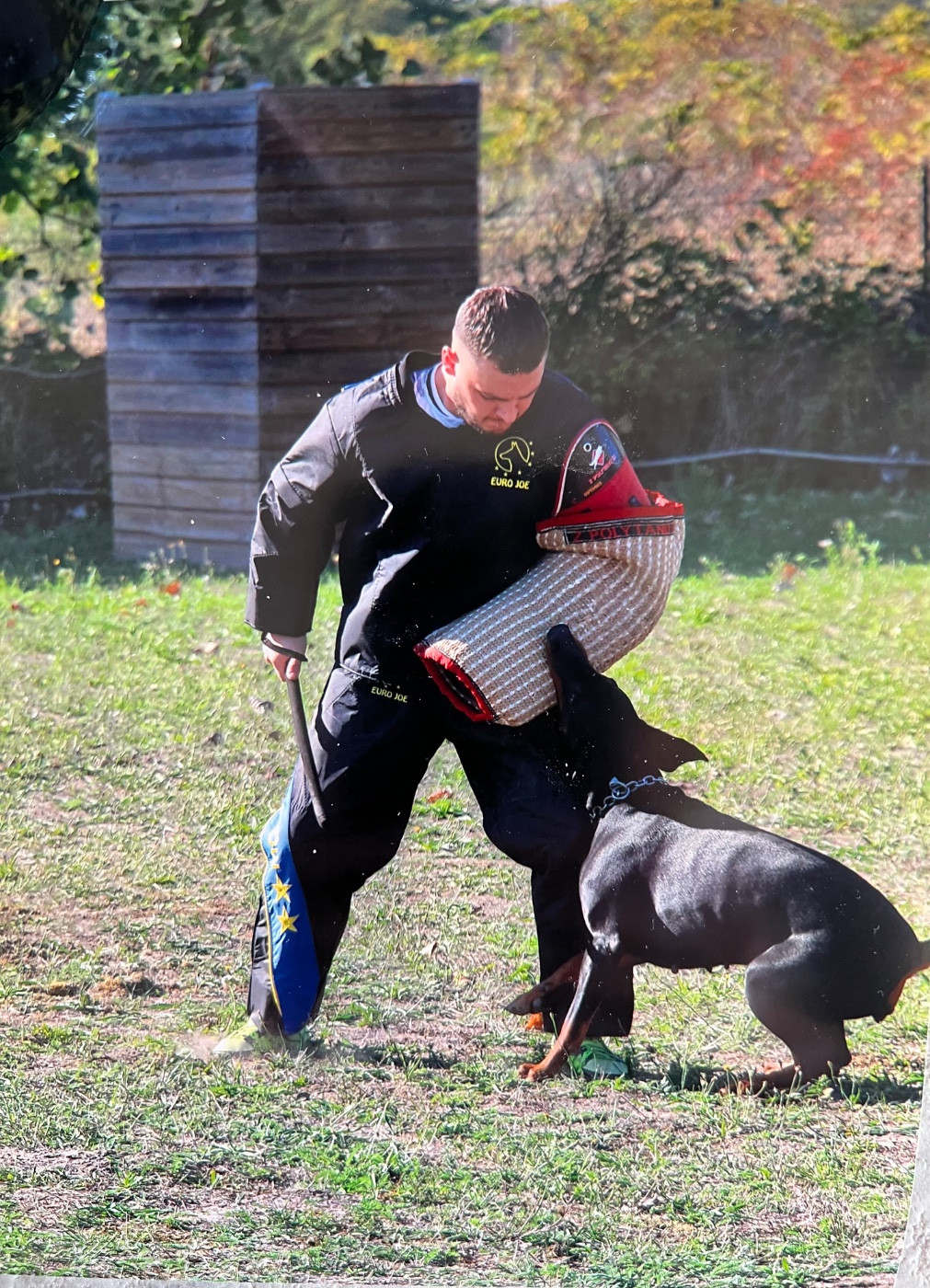 jotunheim's Badwe-henna