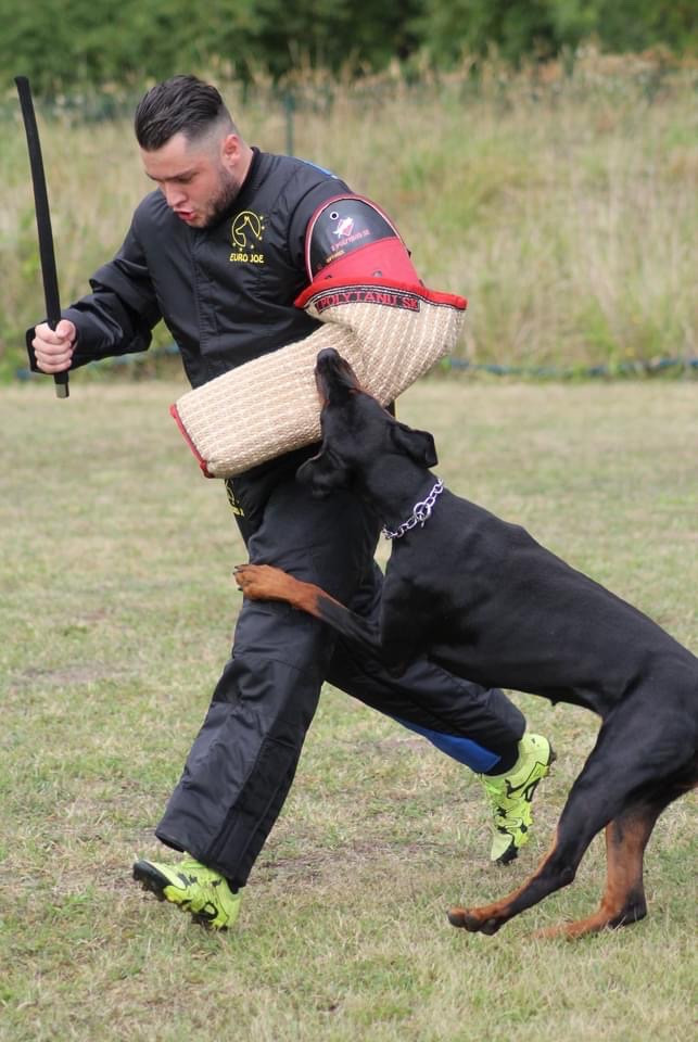 focus Galaxy for ntni wanted