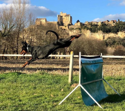 Not The Name I Wanted