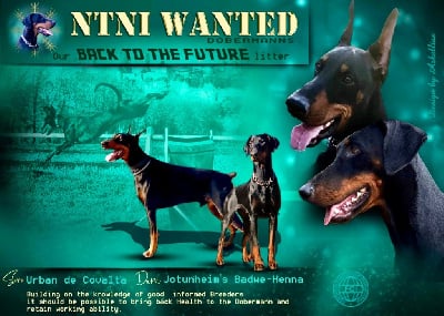 Not The Name I Wanted