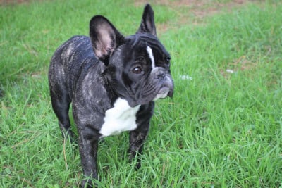 De La Vallée Chartevoise