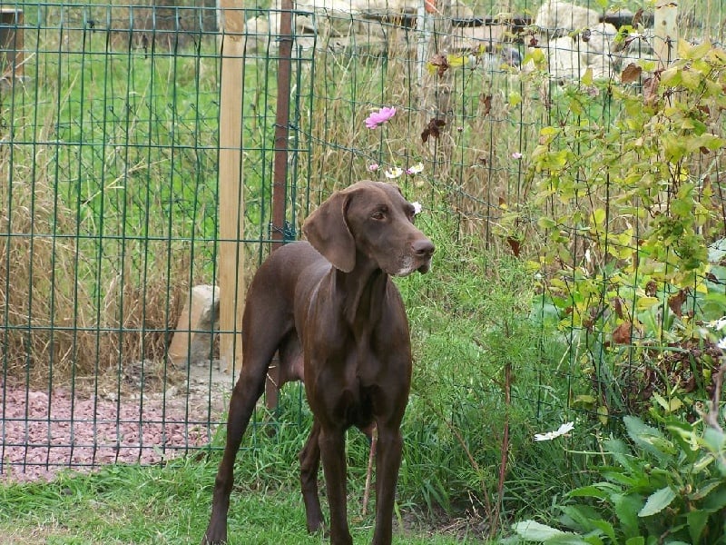 Jade Des Hauts De Champagne