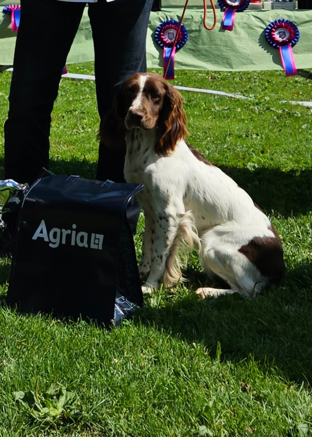 Umy De La Plaine Du Mailhol