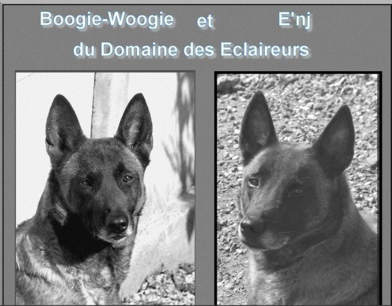 En'j du domaine des eclaireurs