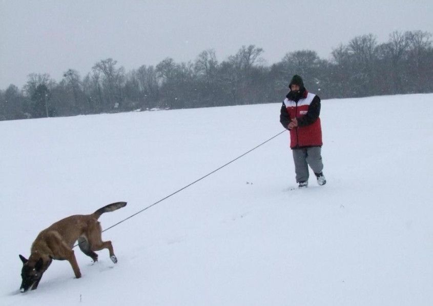 En'j du domaine des eclaireurs
