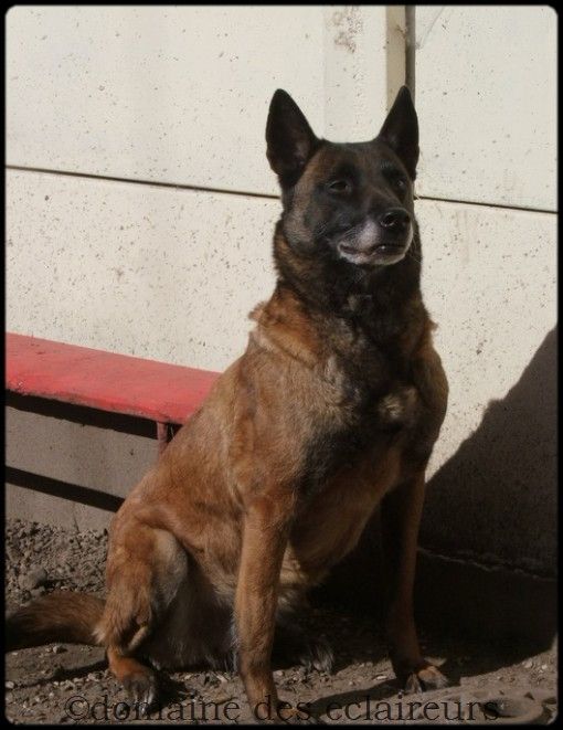 En'j du domaine des eclaireurs