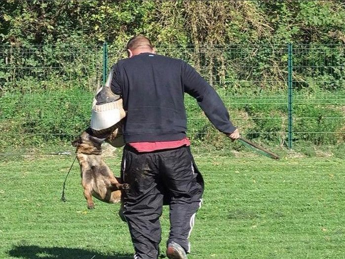En'j du domaine des eclaireurs