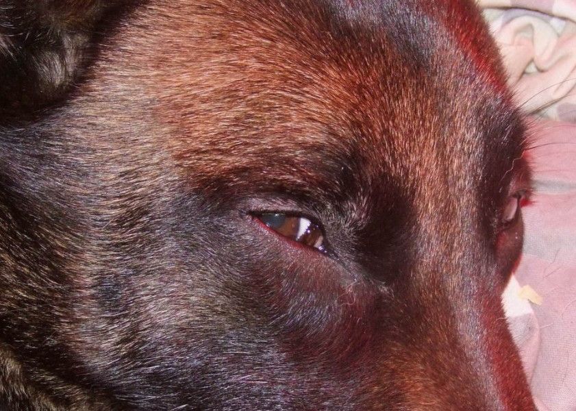 En'j du domaine des eclaireurs