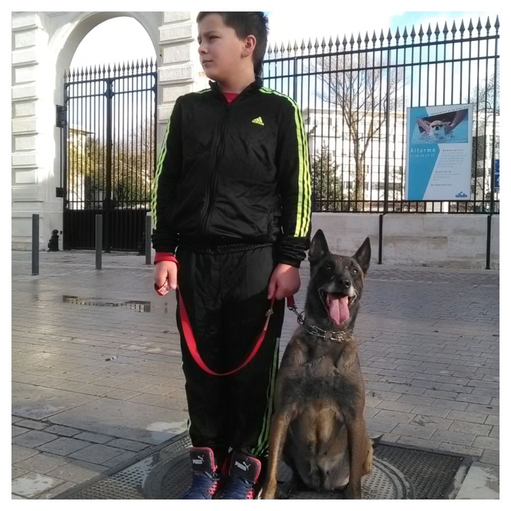 En'j du domaine des eclaireurs