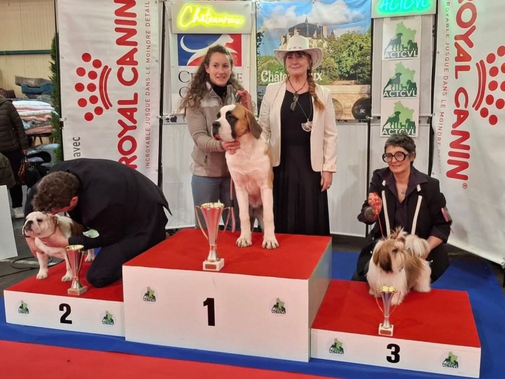 Am stram gram Land Of Pandora