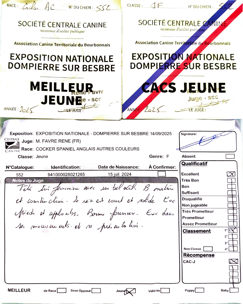 TR. i will be Inspired By Afordite - 1er Excellent (Classe Jeune) & CAC-J