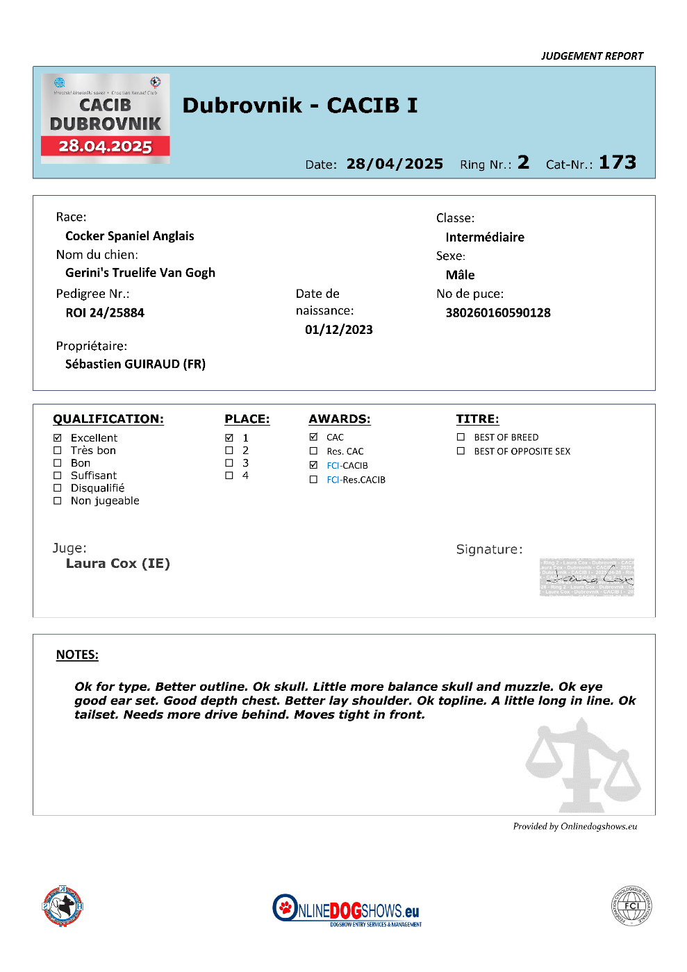CH. gerini's truelife Van Gogh - 1er Excellent (Classe Intermédiaire), CAC, CACIB