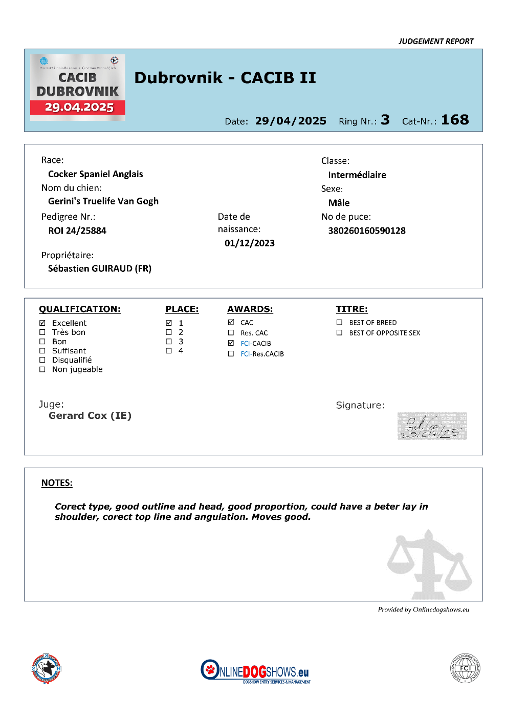 CH. gerini's truelife Van Gogh - 1er Excellent (Classe Intermédiaire), CAC, CACIB