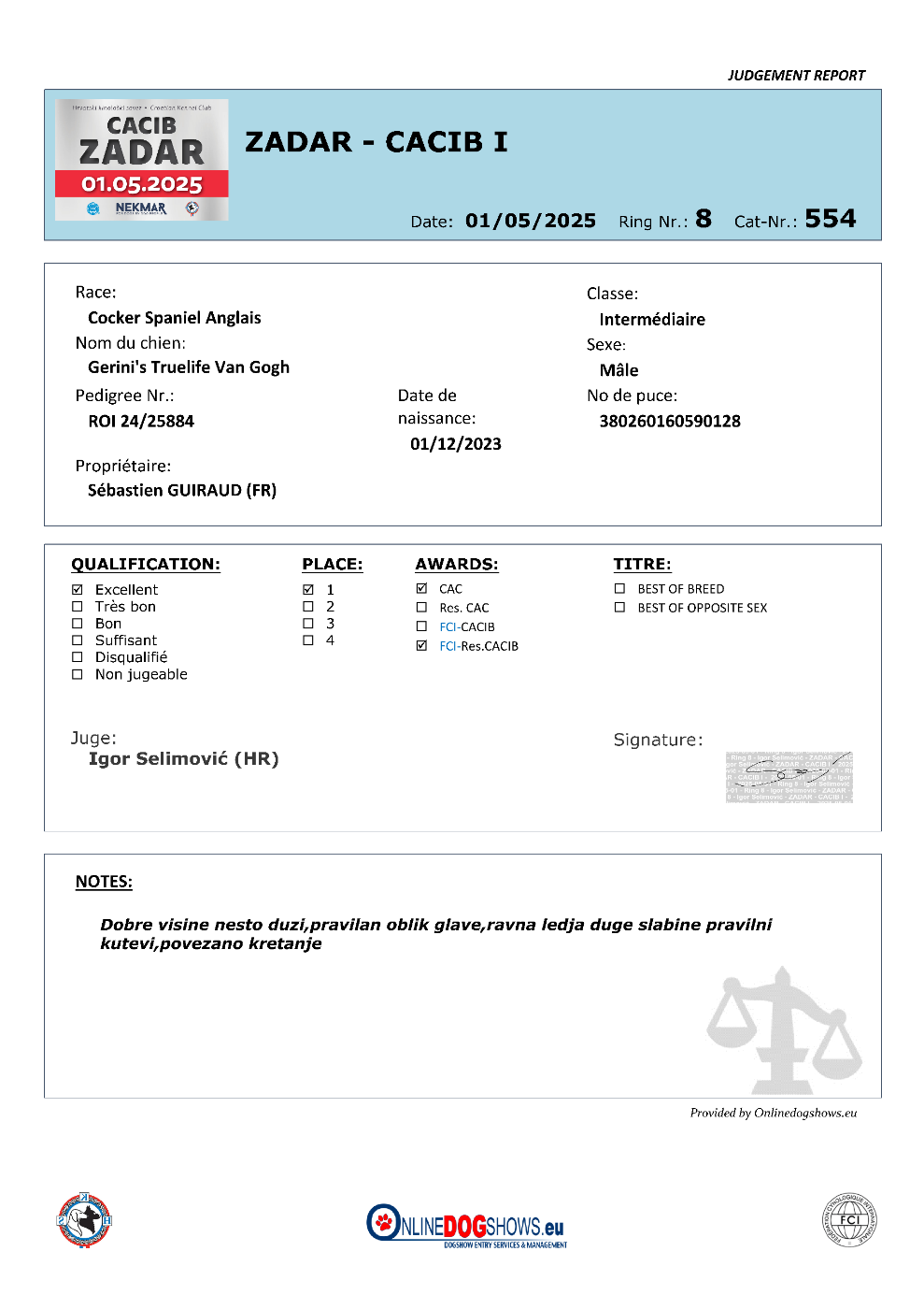 CH. gerini's truelife Van Gogh - 1er Excellent (Classe Intermédiaire), CAC, RCACIB