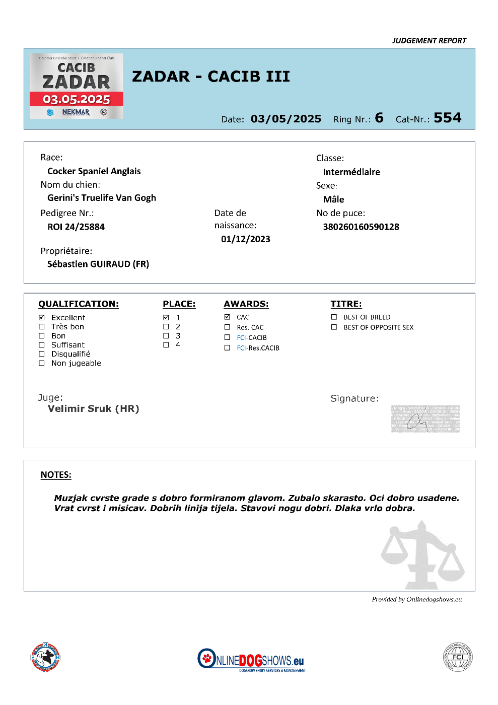 CH. gerini's truelife Van Gogh - 1er Excellent (Classe Intermédiaire), CAC