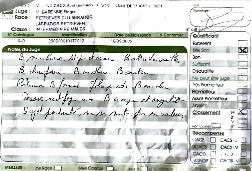 True bad boy du pré de l'égvonne - 1er Très bon (Classe Intermédiaire)