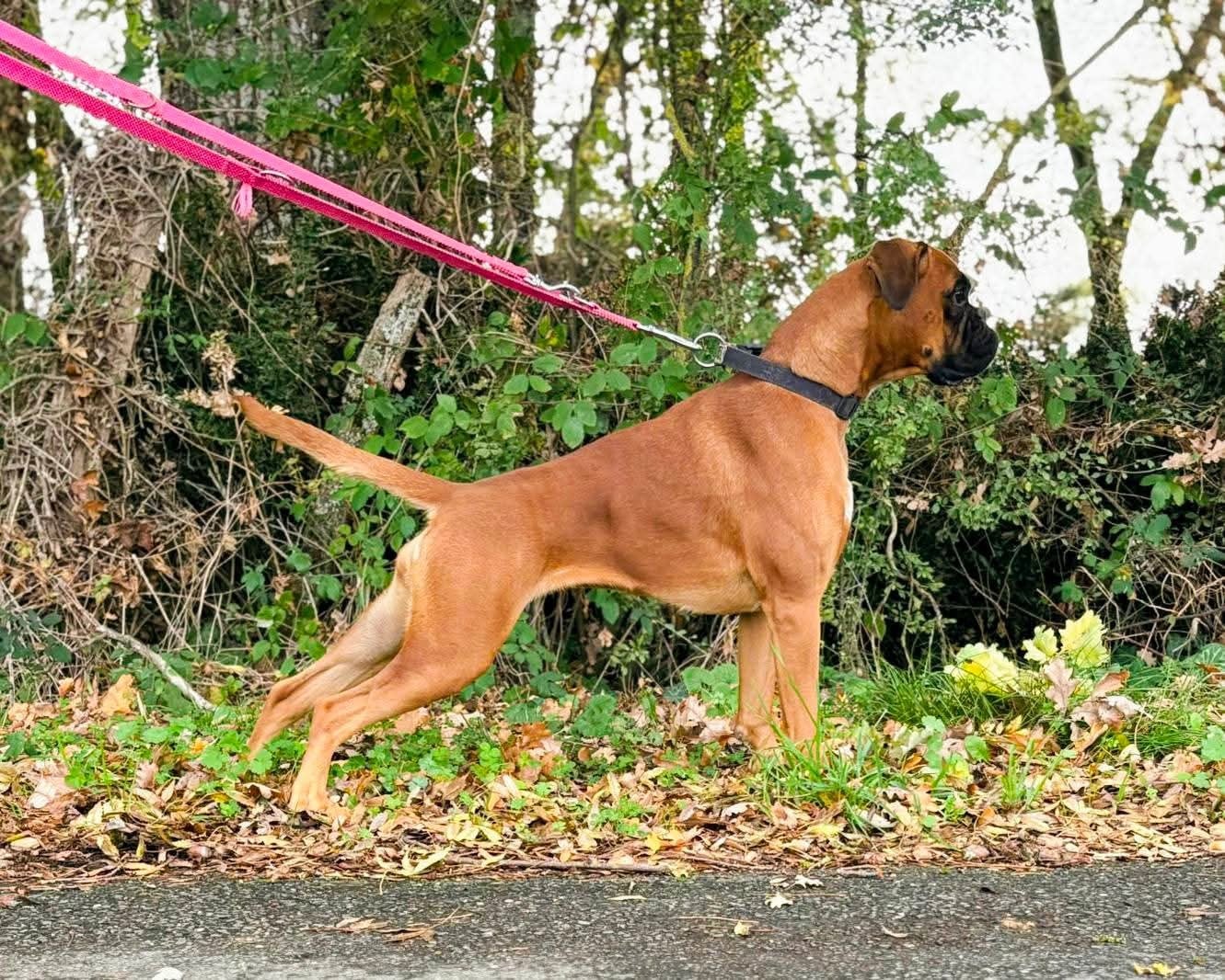 Urys Du Reflet De Lune