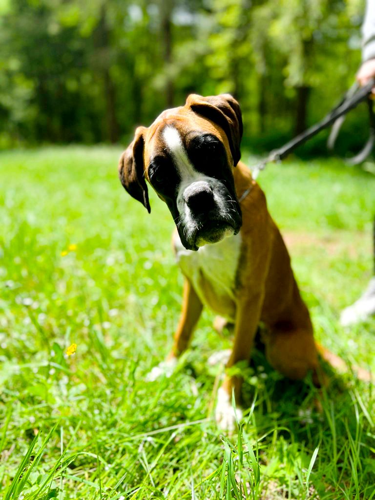 Vogue Du Reflet De Lune