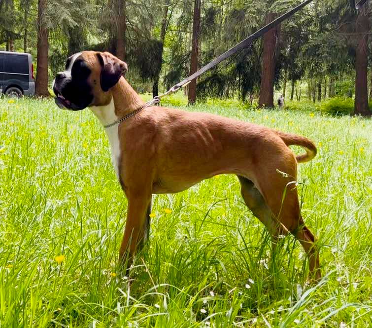 Vogue Du Reflet De Lune