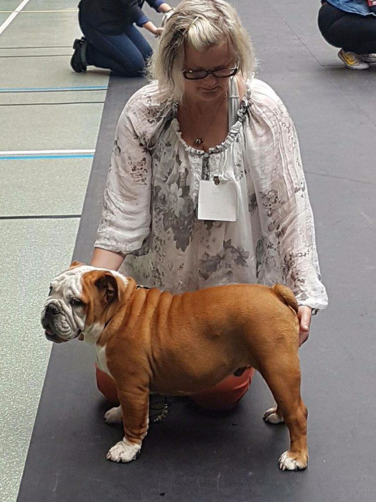 Gentle giant Nobozz - Coup coeur du juge très prometteur