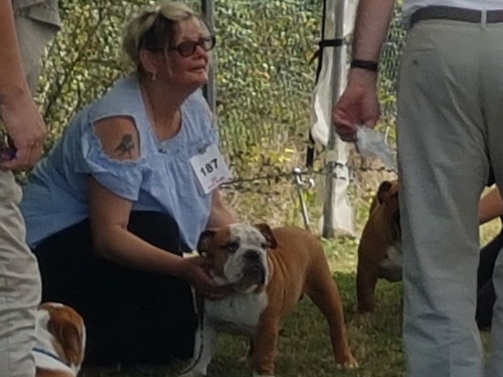 Gentle giant Nobozz - Très prometteur