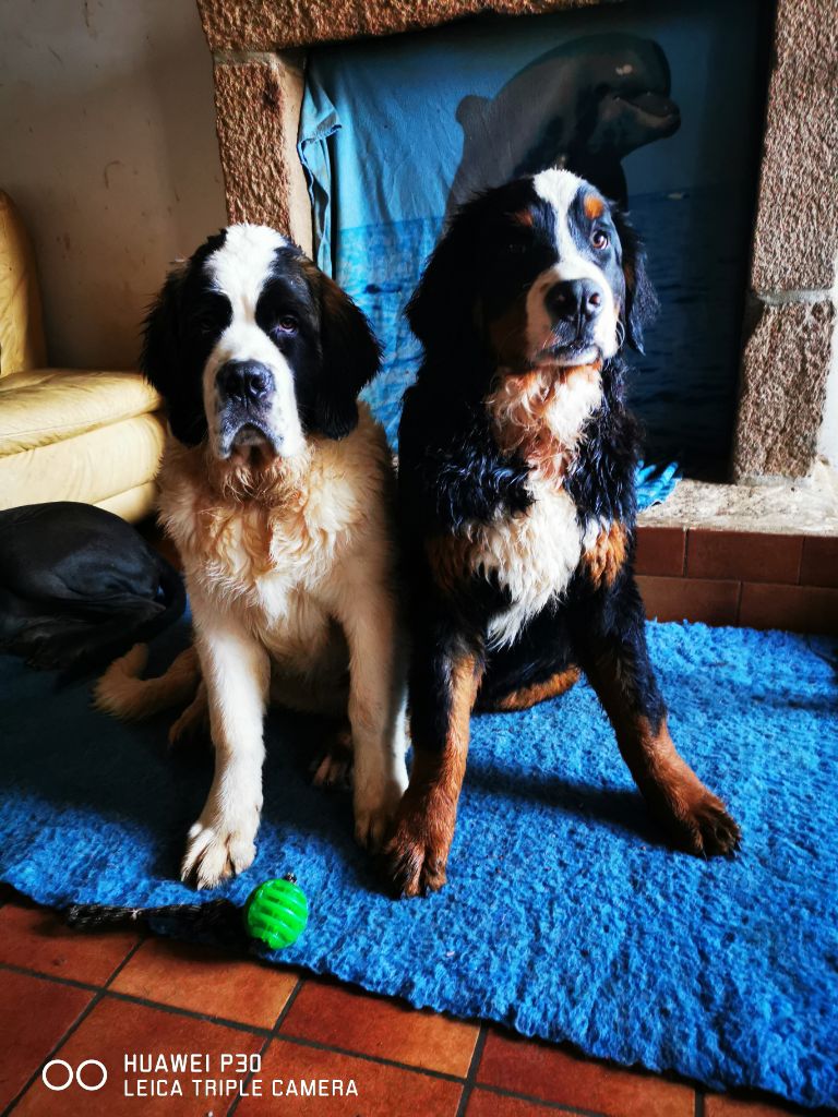 Publication : Des Iles Aux Falaises Auteur : Lucie