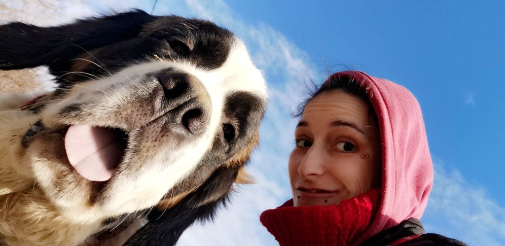 Publication : Des Iles Aux Falaises Auteur : Lucie