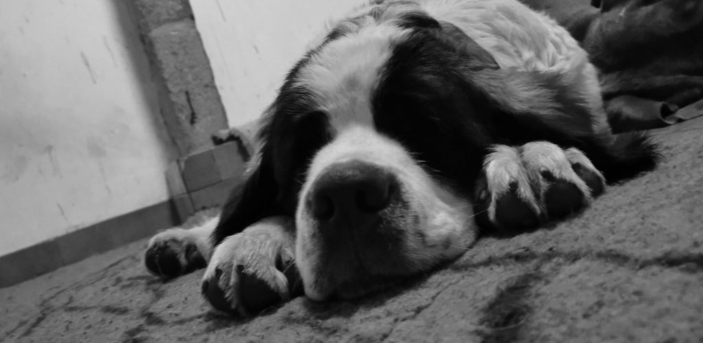 Publication : Des Iles Aux Falaises Auteur : Lucie