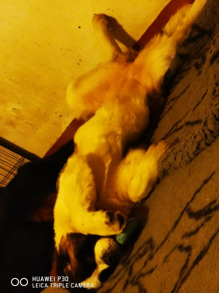 Publication : Des Iles Aux Falaises Auteur : Lucie