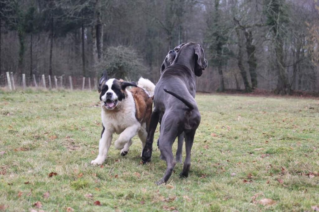 Publication : Des Iles Aux Falaises Auteur : Lucie