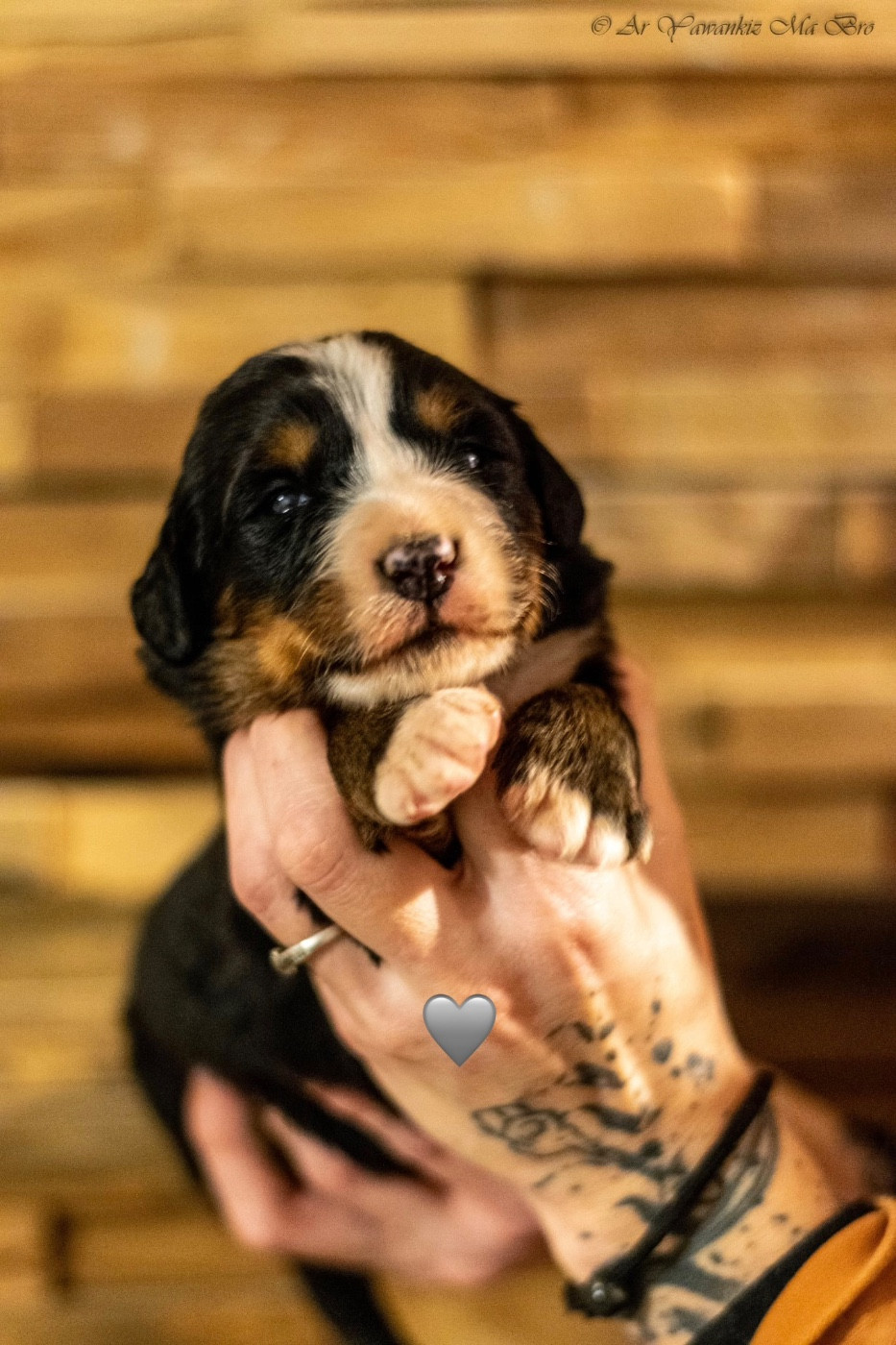 Aspirine Collier Gris