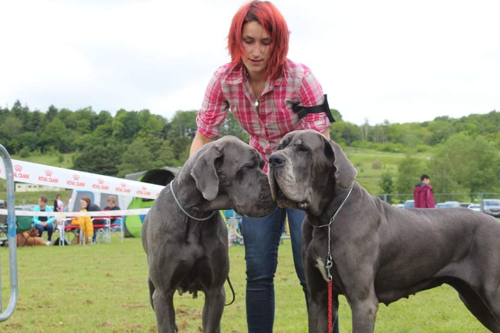 Neshama Des Iles Aux Falaises - 1er Excellent