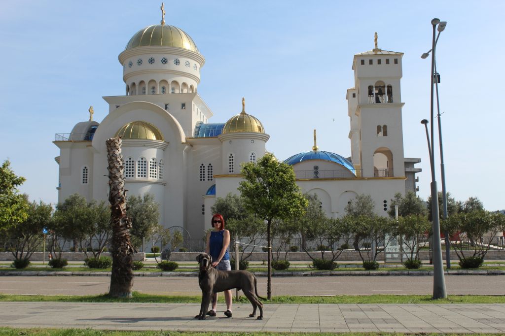 CH. Narco Des Iles Aux Falaises - 1ère Excellent CAC CACIB BOB