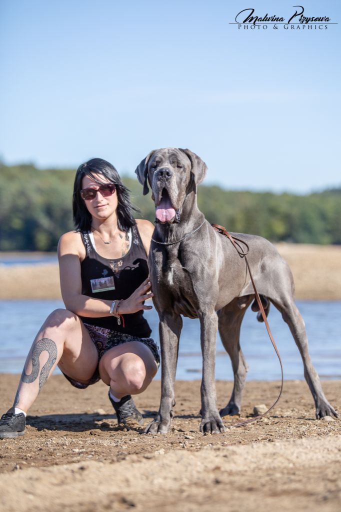 CH. Narco Des Iles Aux Falaises - 3 ième Très Bon