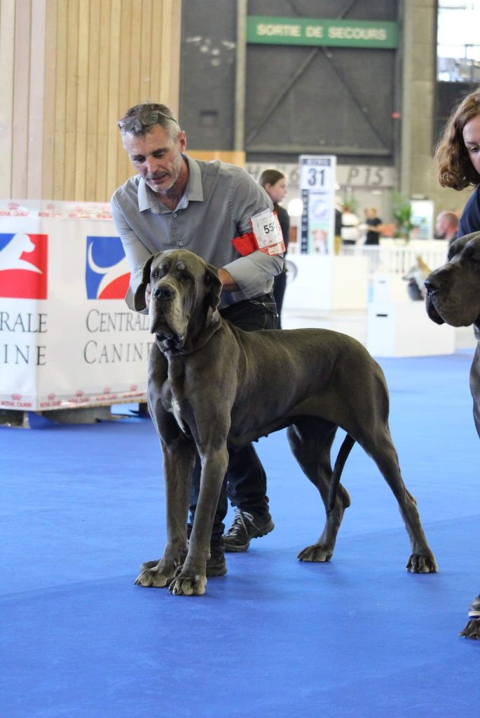 Neshama Des Iles Aux Falaises - 1er Excellent CACS Meilleur de Race