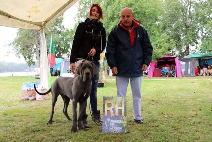 CH. Narco Des Iles Aux Falaises - 1er très prometteur, RH