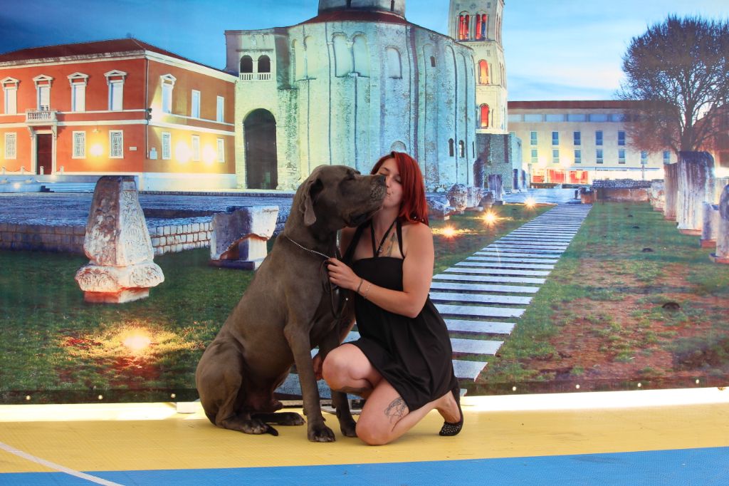 CH. Narco Des Iles Aux Falaises - 1ère Excellent CAC