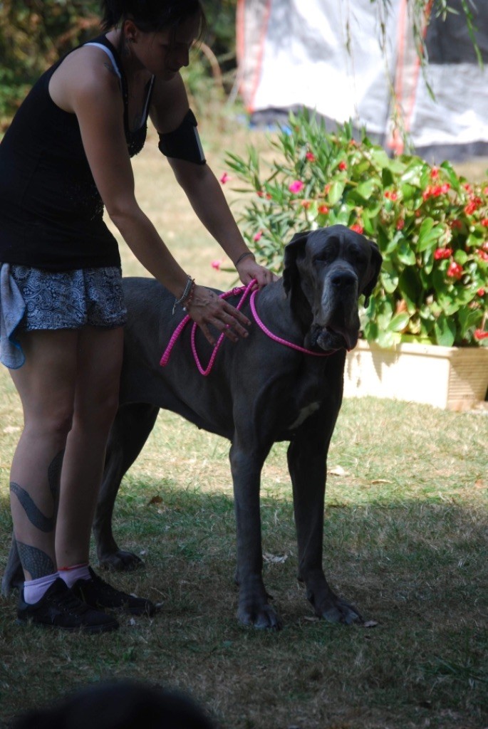 Neshama Des Iles Aux Falaises - 2ieme Très Bon + TAN