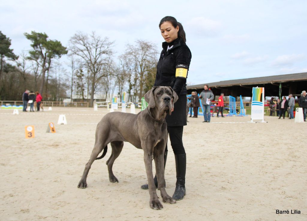 Neshama Des Iles Aux Falaises - 1ère Bon