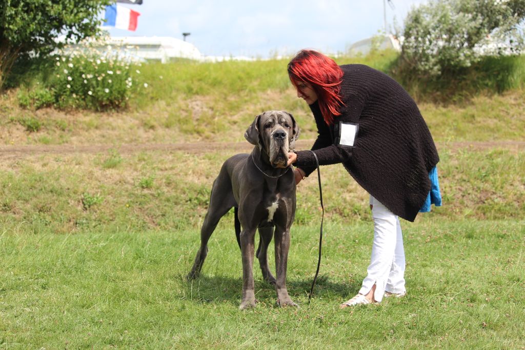 Neshama Des Iles Aux Falaises - 1er Excellent