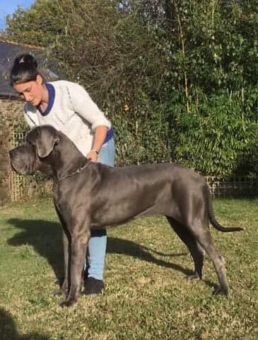 Neshama Des Iles Aux Falaises - 1ère Excellent