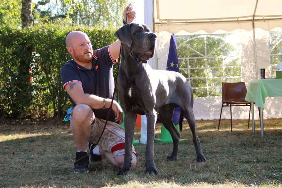 CH. Narco Des Iles Aux Falaises - 2ième Très Bon