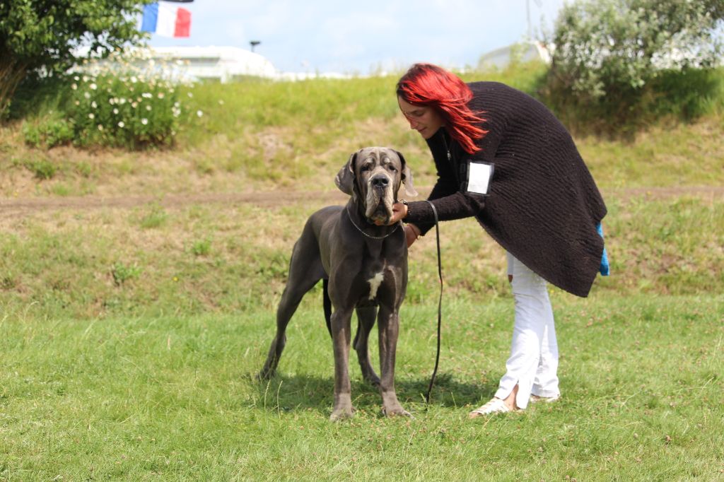 Neshama Des Iles Aux Falaises - 2ième Très Bon