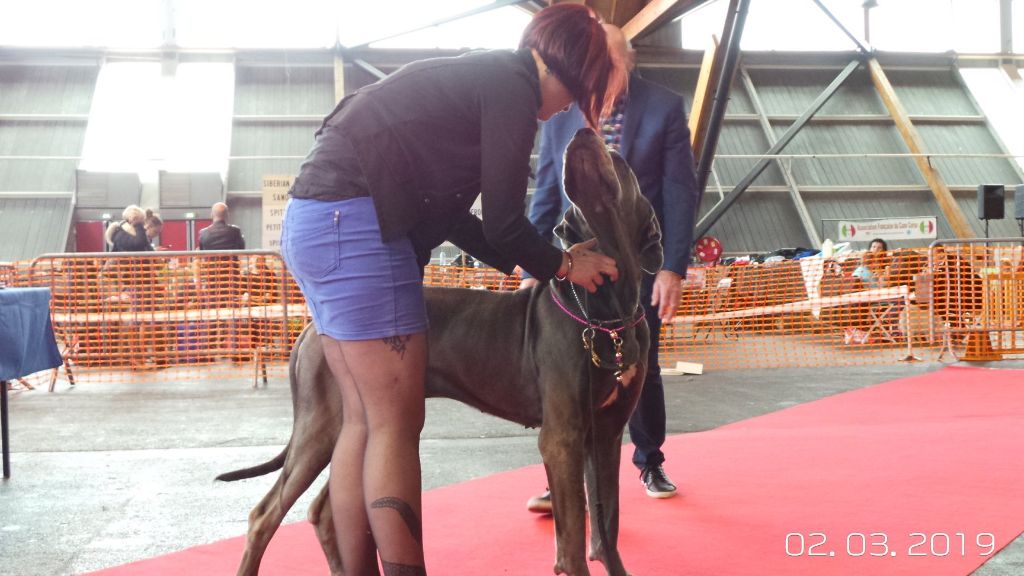 Neshama Des Iles Aux Falaises - 1ère Très Bon