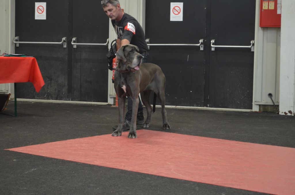 Neshama Des Iles Aux Falaises - 1ère Excellent