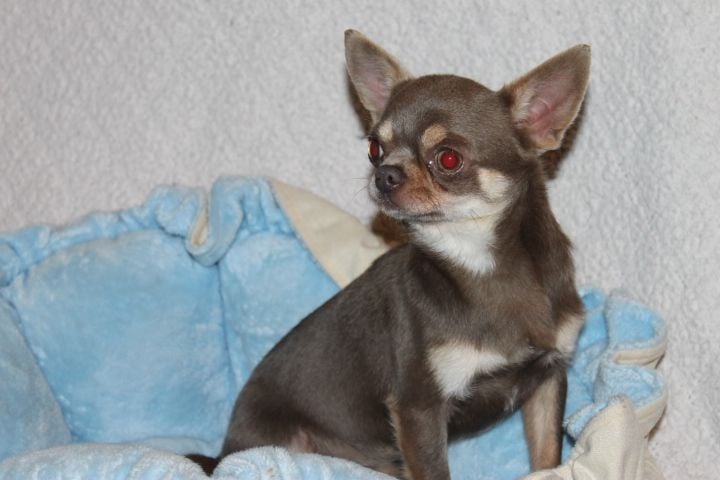 Valio Des Pattounes Douces