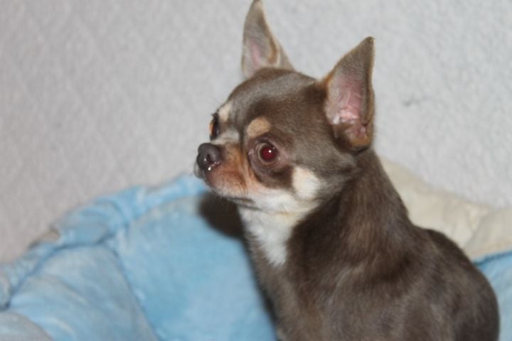 Valio Des Pattounes Douces